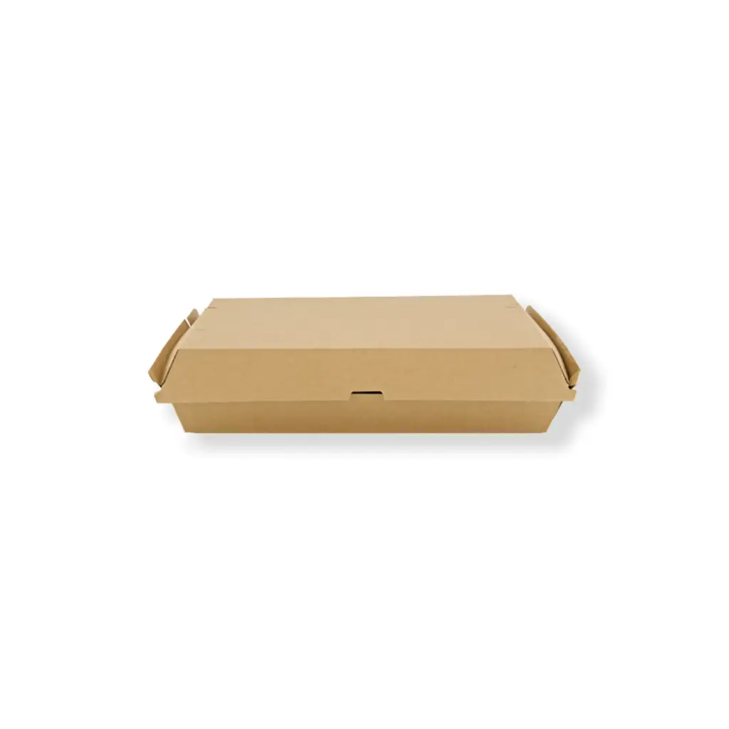 Family Pack 290x170x85 Carton of 100